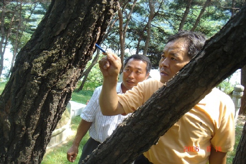 감염의심목에 대한 예찰을 실시하는 중 